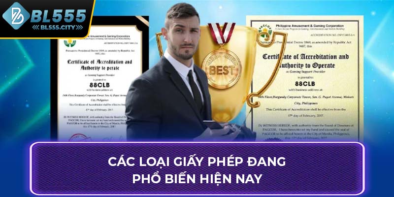 Các loại giấy phép đang phổ biến hiện nay
